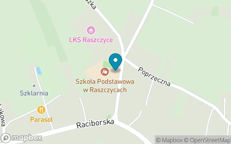 Lokalizacja: Szkoła Podstawowa w Raszczycach
