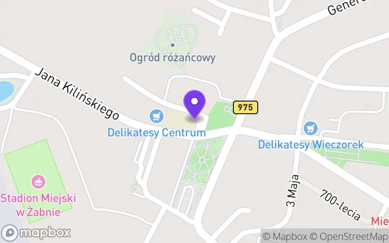 Lokalizacja: Technikum w Żabnie