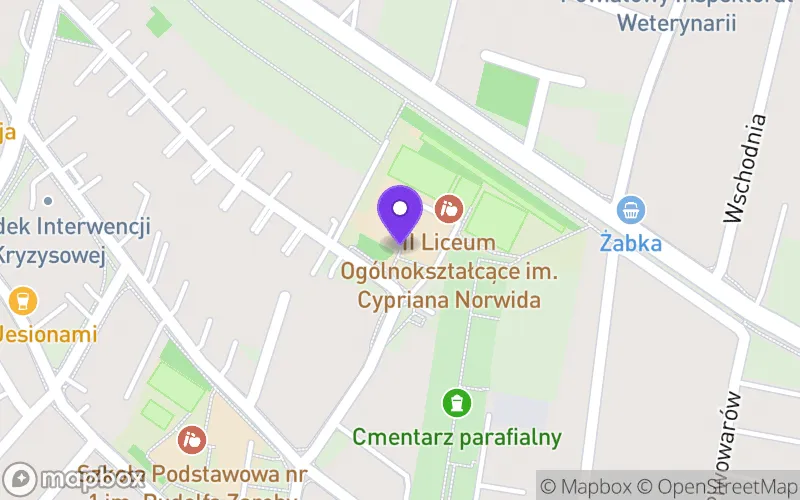 Lokalizacja: II Liceum Ogólnokształcące z Oddziałami Integracyjnymi im. Cypriana Kamila Norwida