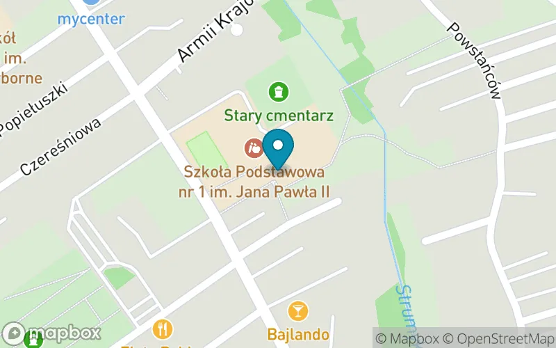 Lokalizacja: Szkoła Podstawowa nr 1 im. Jana Pawła II w Czerwionce-Leszczynach