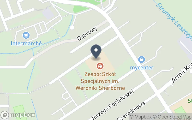 Lokalizacja: Zespół Szkół Specjalnych im. Weroniki Sherborne w Czerwionce-Leszczynach