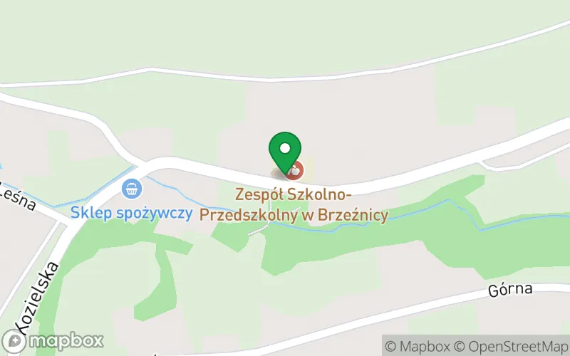 Lokalizacja: Przedszkole z Oddziałami Integracyjnymi w Brzeźnicy w Zespole Szkolno-Przedszkolnym w Grzegorzowicach