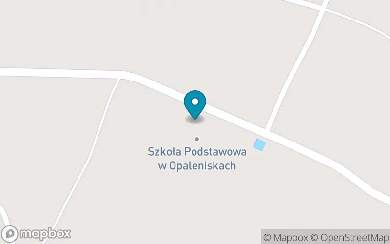 Lokalizacja: Szkoła Podstawowa im. Gen. Bryg. Witołda Nowiny-Sawickiego w Opaleniskach