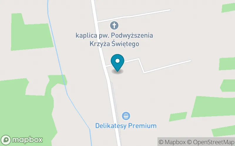 Lokalizacja: Szkoła Podstawowa w Dąbiu