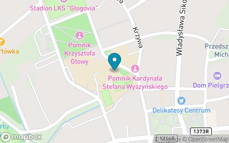 Lokalizacja: Szkoła Podstawowa im. Księdza Kardynała Stefana Wyszyńskiego w Głogowie Małopolskim