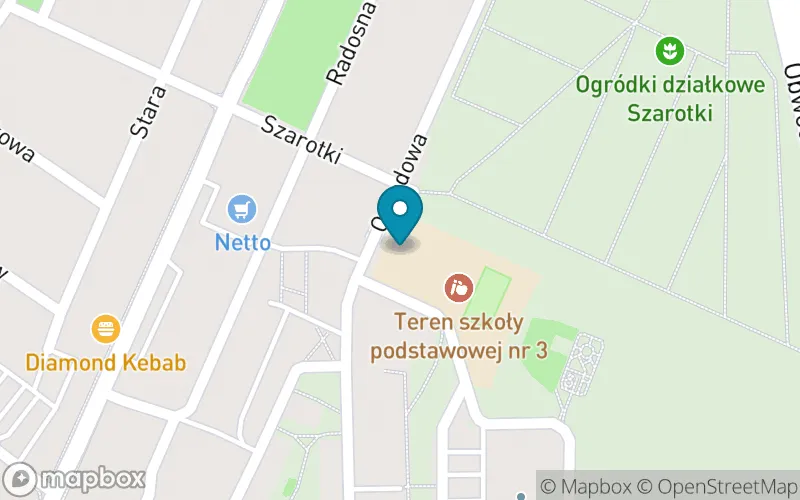 Lokalizacja: Szkoła Podstawowa nr 3 im. Mikołaja Kopernika w Łaziskach Górnych