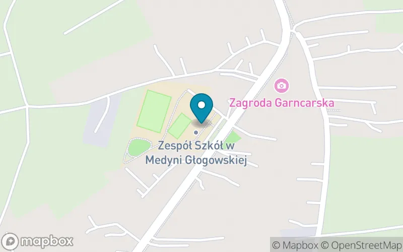 Lokalizacja: Szkoła Podstawowa im. Jana Pawła II w Medyni Głogowskiej