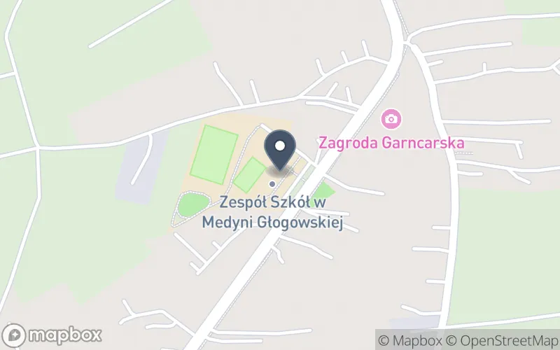 Lokalizacja: Zespół Szkół w Medyni Głogowskiej