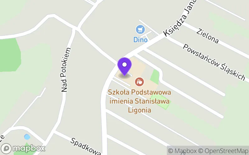 Lokalizacja: Niepubliczna Szkoła Muzyczna II St. Egida w Książenicach