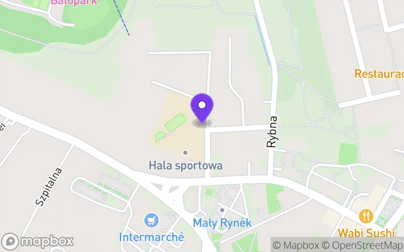 Lokalizacja: Liceum Ogólnokształcące im. Batalionu "Parasol" w Trzebini