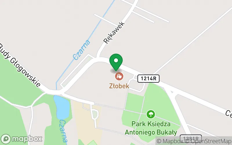 Lokalizacja: Niepubliczne Przedszkole w Budach Głogowskich