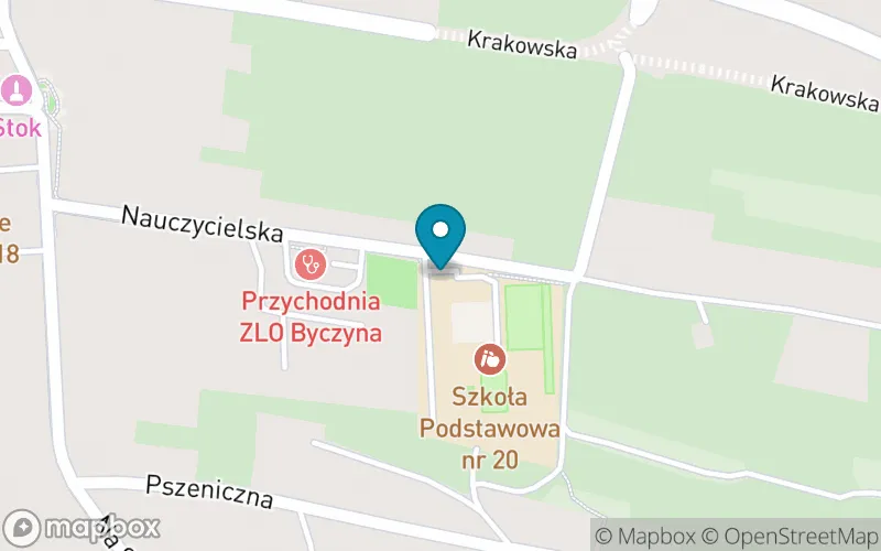 Lokalizacja: Szkoła Podstawowa nr 20 w Jaworznie