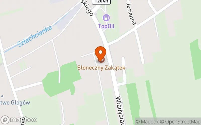 Lokalizacja: Niepubliczny Żłobek "Słoneczny Zakątek"