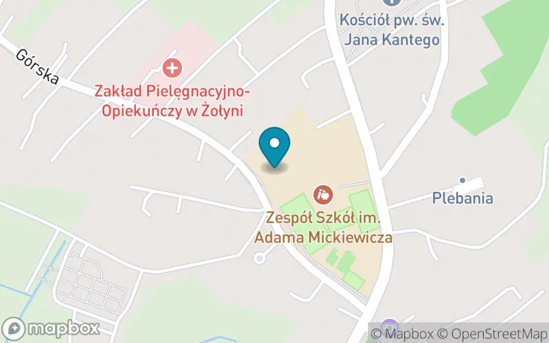 Lokalizacja: Niepaństwowa Szkoła Muzyczna i St. w Żołyni
