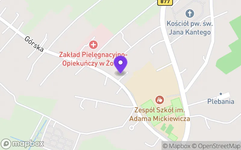 Lokalizacja: Liceum Ogólnokształcące im. Adama Mickiewicza w Żołyni