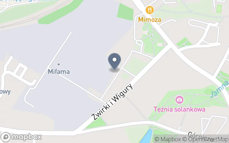 Lokalizacja: Niepubliczna Placówka Kształcenia Ustawicznego Powiatowy Uniwersytet Trzeciego Wieku przy Stowarzyszeniu Wspierania Samorządności w Mikołowie