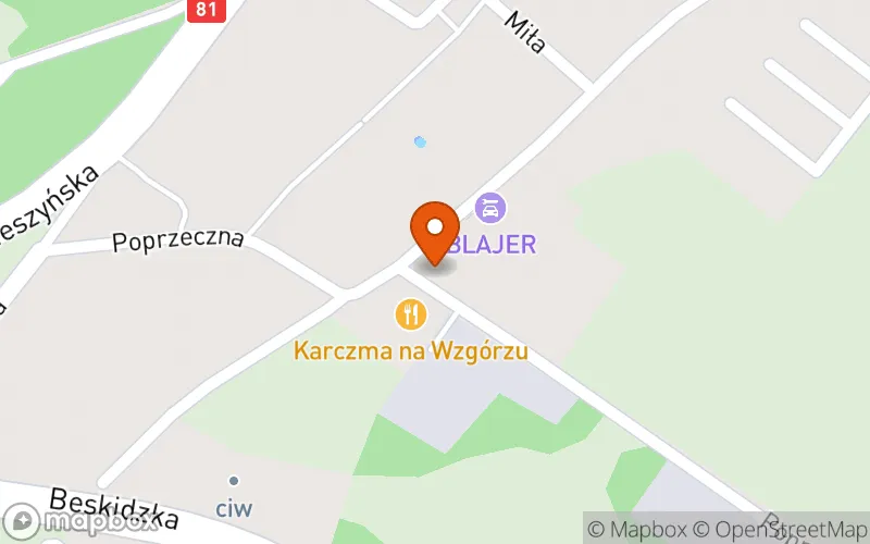 Lokalizacja: Akademia Malucha "Zaczarowana Kraina"