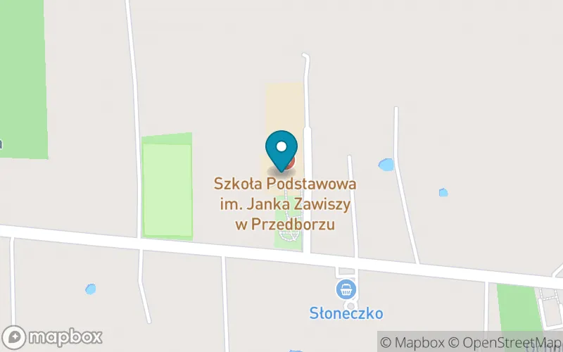 Lokalizacja: Szkoła Podstawowa im. Janka Zawiszy w Przedborzu