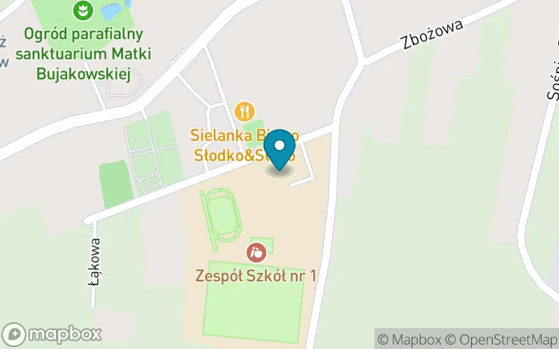 Lokalizacja: Szkoła Podstawowa nr 12 im. Józefa Janika