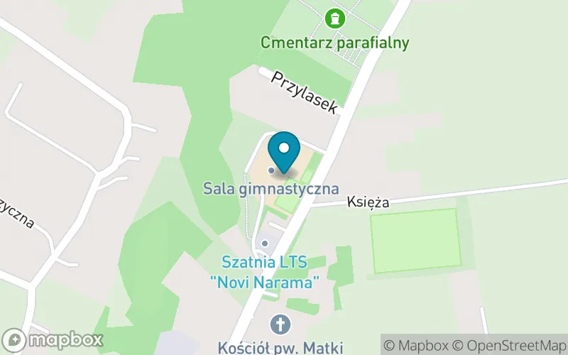 Lokalizacja: Publiczna Szkoła Podstawowa im. Św. Jadwigi Królowej w Naramie