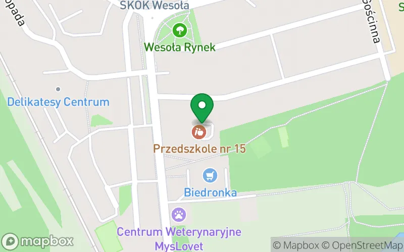 Lokalizacja: Przedszkole nr 15 w Mysłowicach