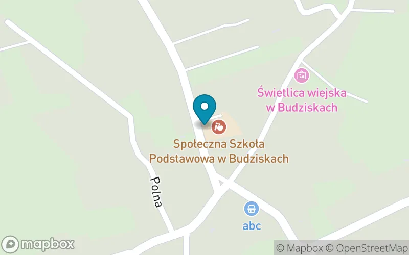 Lokalizacja: Społeczna Szkoła Podstawowa w Budziskach