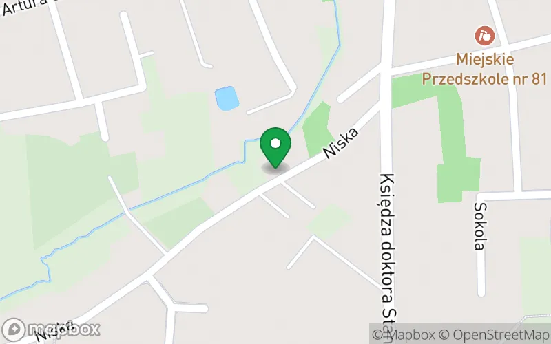 Lokalizacja: Niepubliczne Przedszkole Gwiazdolandia