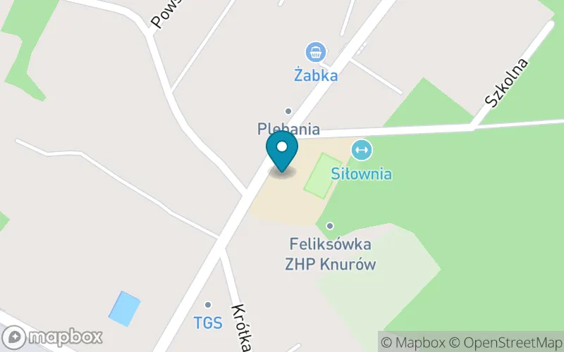Lokalizacja: Miejska Szkoła Podstawowa nr 3 w Knurowie