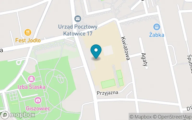 Lokalizacja: Szkoła Podstawowa nr 51 im. Fryderyka Chopina z Oddziałami Integracyjnymi w Katowicach