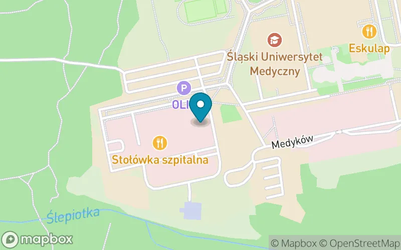 Lokalizacja: Szkoła Podstawowa dla Dzieci Chorych im. Krystyny Bochenek