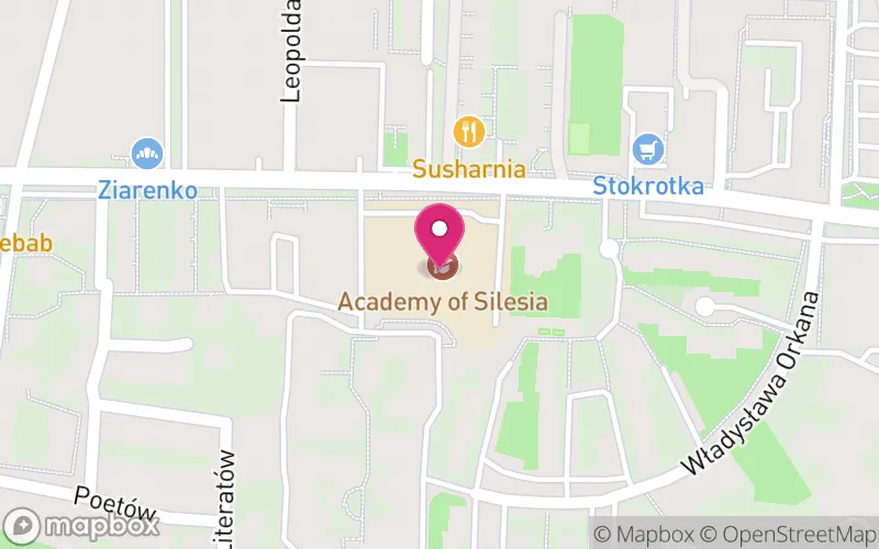 Lokalizacja: Akademia Śląska
