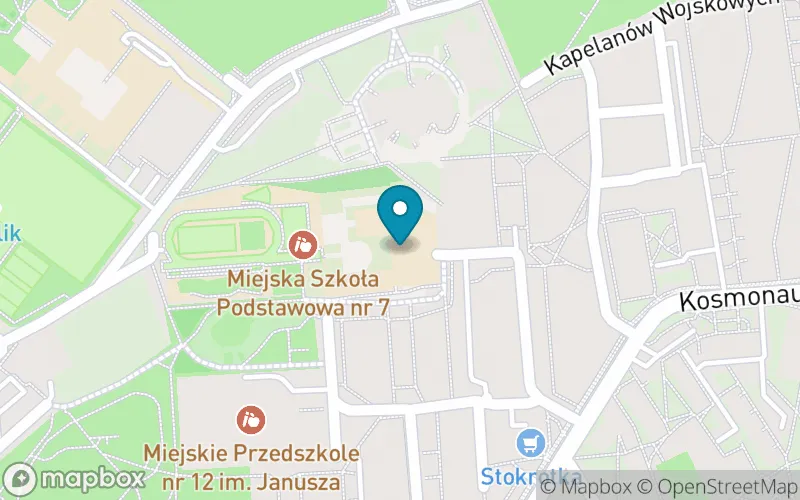 Lokalizacja: Miejska Szkoła Podstawowa nr 7 w Knurowie