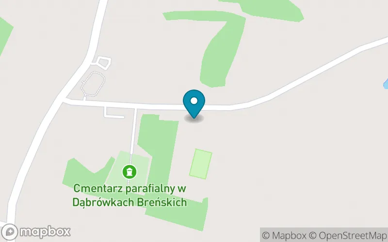 Lokalizacja: Szkoła Podstawowa w Dąbrówkach Breńskich