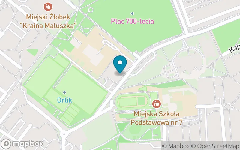 Lokalizacja: Miejska Szkoła Podstawowa nr 9 im. Marii Konopnickiej