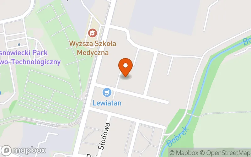 Lokalizacja: Żłobek Oddział nr 1 ( Zespół Żłobka i Klubów Dziecięcych siedziba: ul. B. Prusa 253A, Sosnowiec)