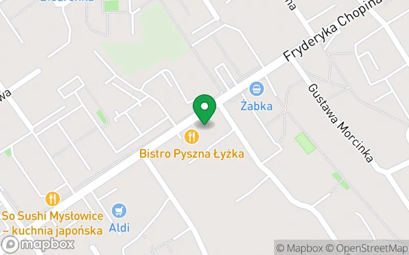 Lokalizacja: Publiczne Przedszkole Akademia przed-Szkolna "Skrzat" z Oddziałami Integracyjnymi w Mysłowicach