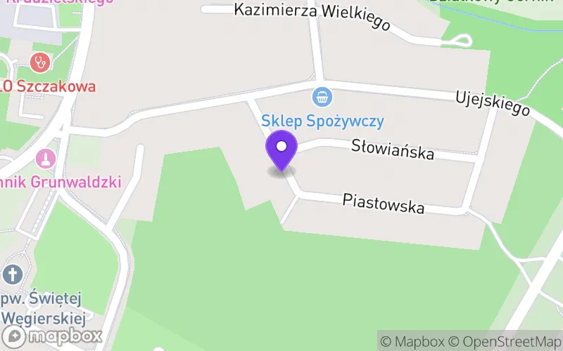 Lokalizacja: Niepubliczne Liceum Ogólnokształcące Led