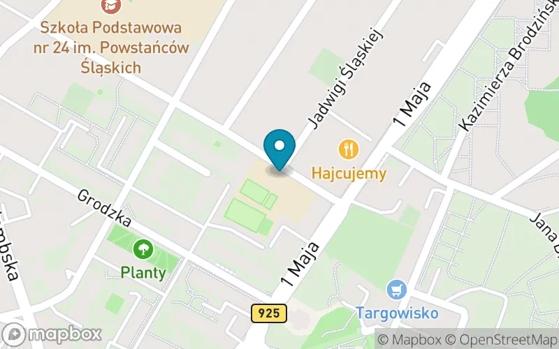 Lokalizacja: Szkoła Podstawowa nr 24 im. Powstańców Śląskich