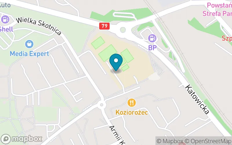 Lokalizacja: Szkoła Podstawowa nr 1 im. Marii Skłodowskiej-Curie w Mysłowicach