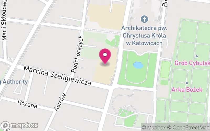 Lokalizacja: Wyższe Śląskie Seminarium Duchowne