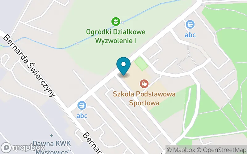 Lokalizacja: Szkoła Podstawowa Sportowa im. Olimpijczyków Śląskich w Mysłowicach