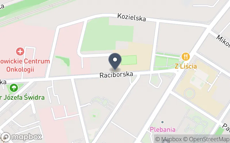 Lokalizacja: Zespół Szkół Ekonomicznych im. Wojciecha Korfantego