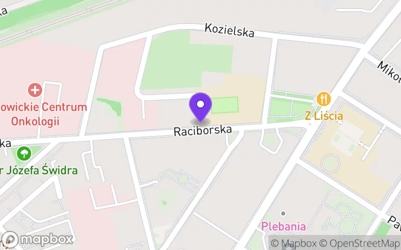 Lokalizacja: Technikum nr 2