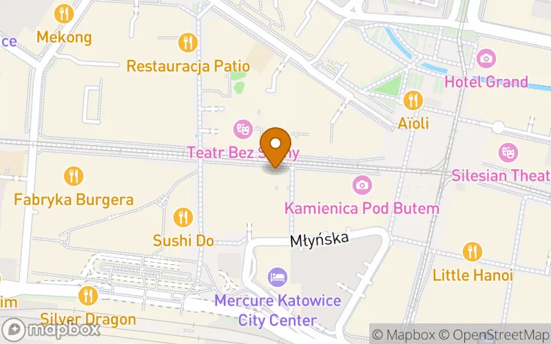 Lokalizacja: Szkoła Policealna Copernicus nr 1 w Katowicach