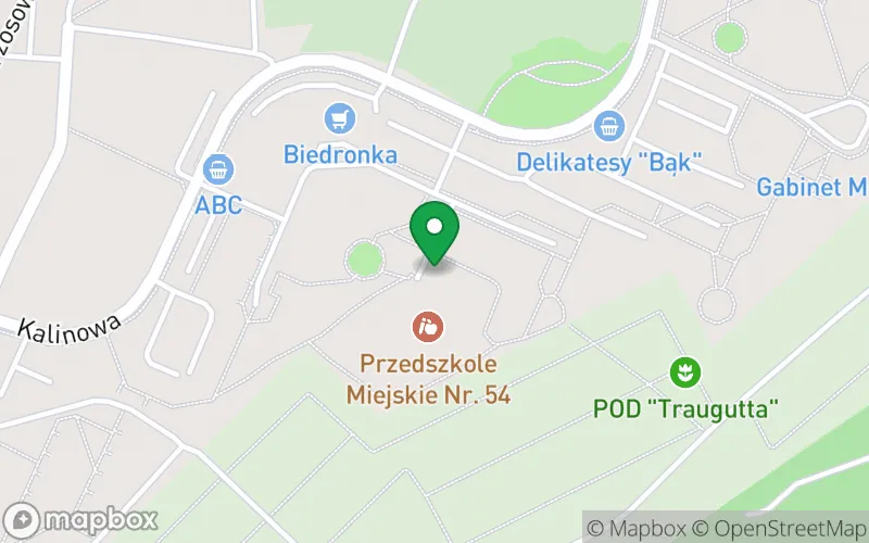 Lokalizacja: Przedszkole Miejskie nr 54 w Sosnowcu
