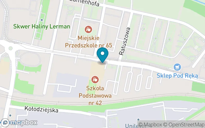 Lokalizacja: Szkoła Podstawowa nr 42 im. Józefy Kantorówny w Katowicach