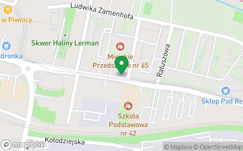 Lokalizacja: Przedszkole nr 56 w Katowicach