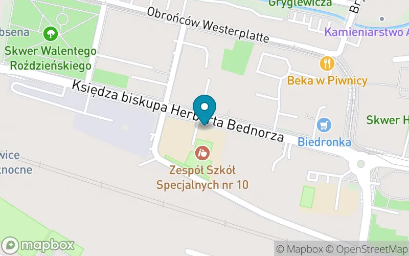 Lokalizacja: Szkoła Podstawowa nr 55 Specjalna