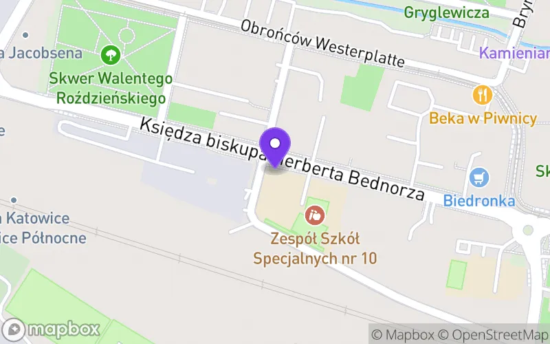 Lokalizacja: Technikum nr 10