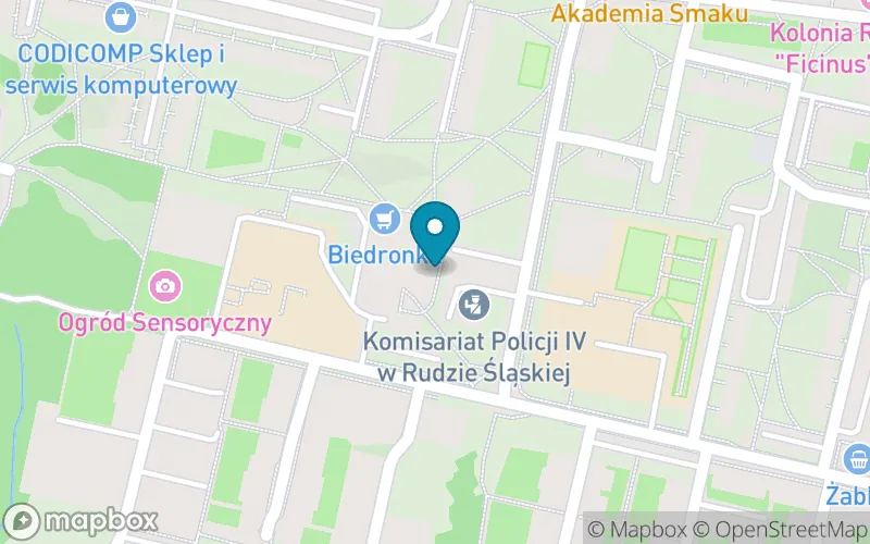 Lokalizacja: Niepubliczna Szkoła Muzyki Rozrywkowej i St. w Rudzie Śląskiej